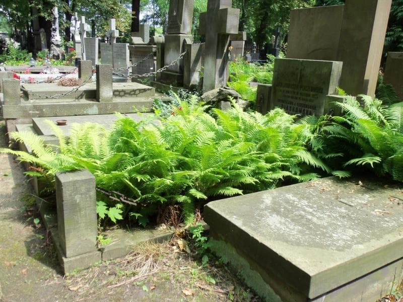 Zdjęcie grobu Bronisława Piaskowska (1)