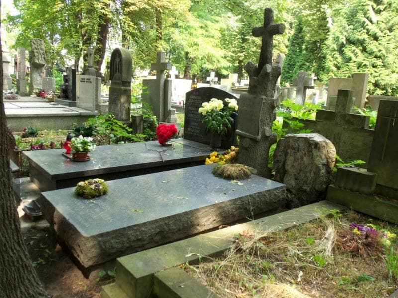 Zdjęcie grobu Aleksander Wallis (1)