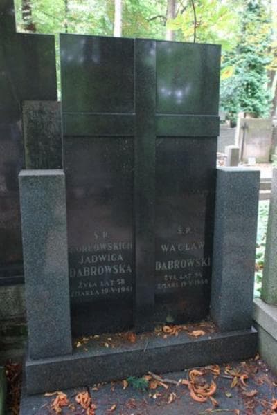 Zdjęcie grobu Jadwiga Dąbrowska (2)
