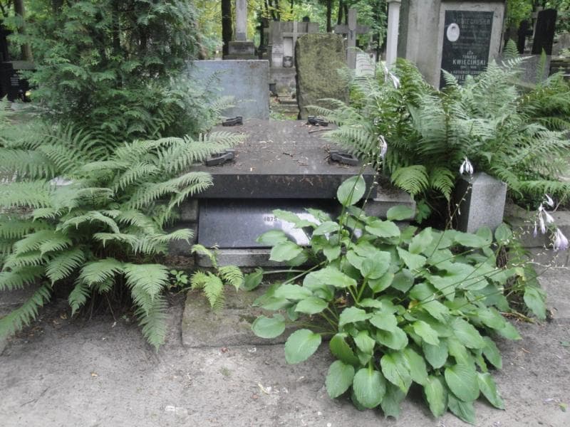 Zdjęcie grobu: Zofja Grabowska