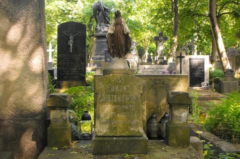 Zdjęcie grobu Henryka Kochanowska (2)