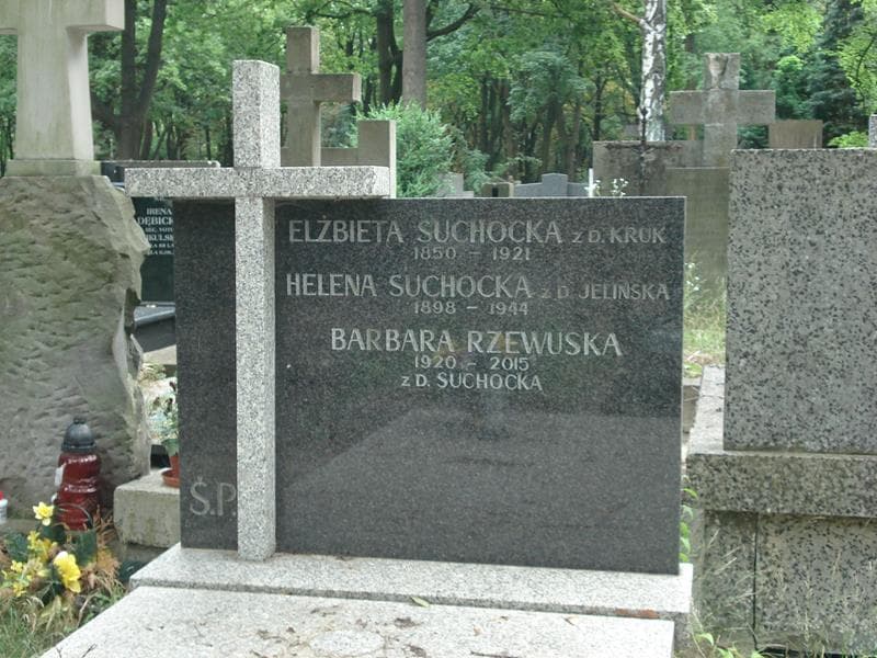Zdjęcie grobu Barbara Rzewuska (1)