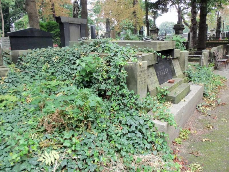 Zdjęcie grobu Henryk Huss (2)