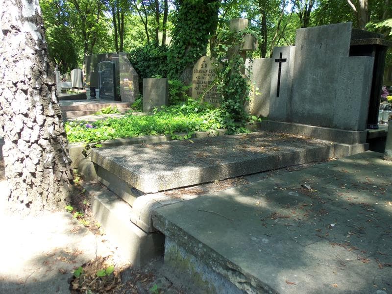 Zdjęcie grobu Janina Załęska (1)