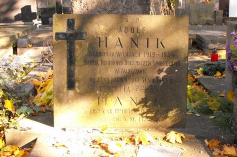 Zdjęcie grobu Cecylia Teresa Hanik (2)