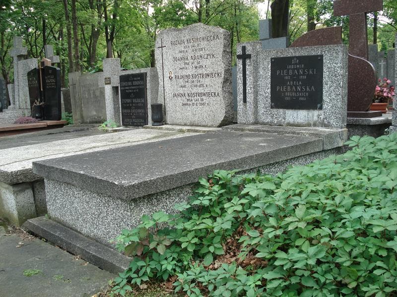 Zdjęcie grobu Adela Plebańska (1)
