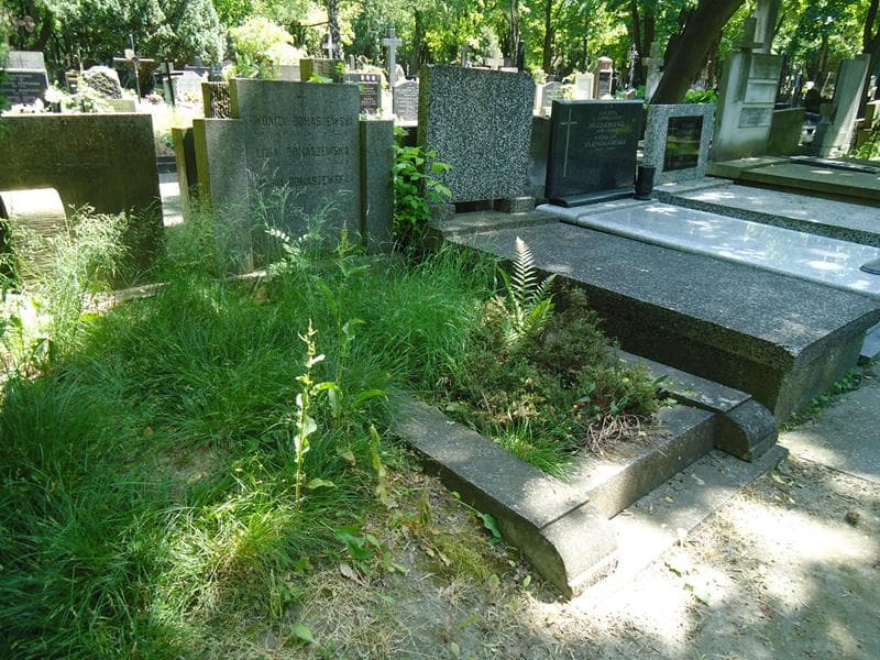 Zdjęcie grobu Dyonizy Domaszewski (1)