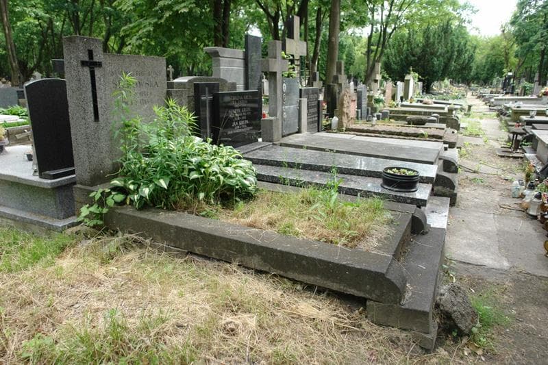 Zdjęcie grobu: Antonina Stępowska