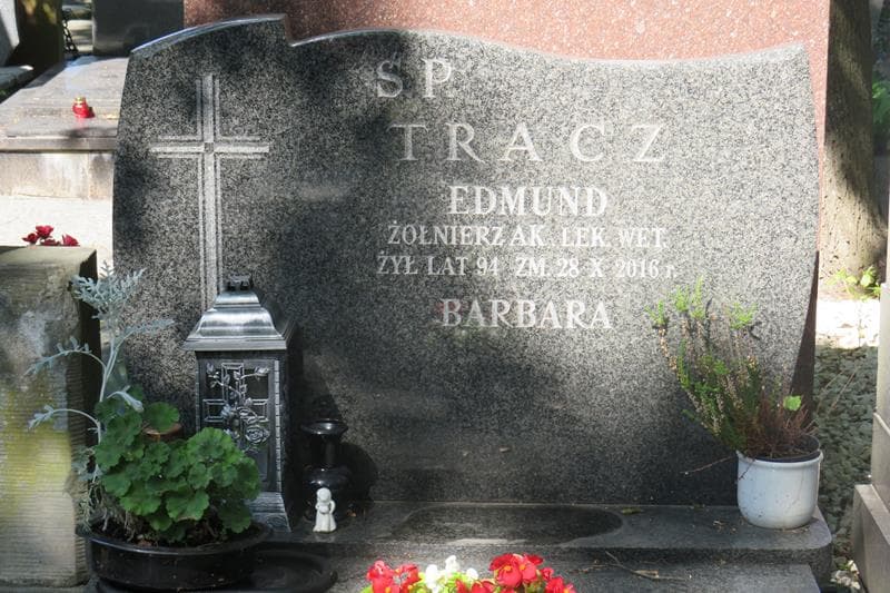 Zdjęcie grobu Edmund Tracz (2)