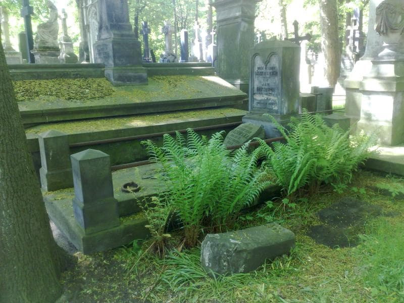Zdjęcie grobu Juljanna Guzowska (1)