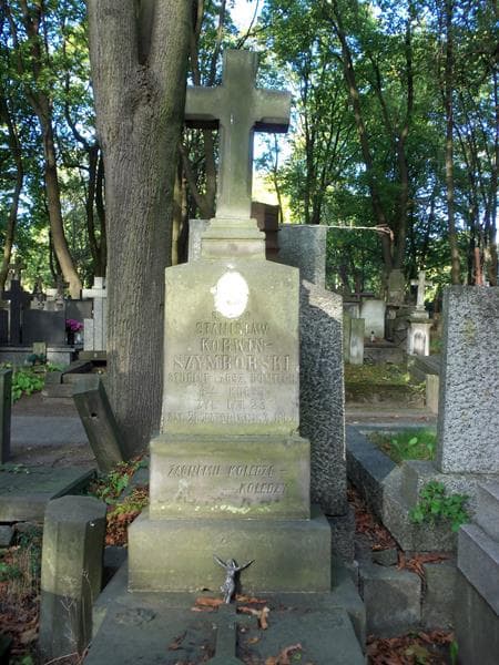 Zdjęcie grobu Stanisław Walicki (2)