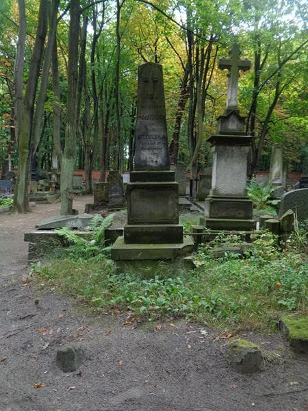 Zdjęcie grobu Karolina Stodulska (1)