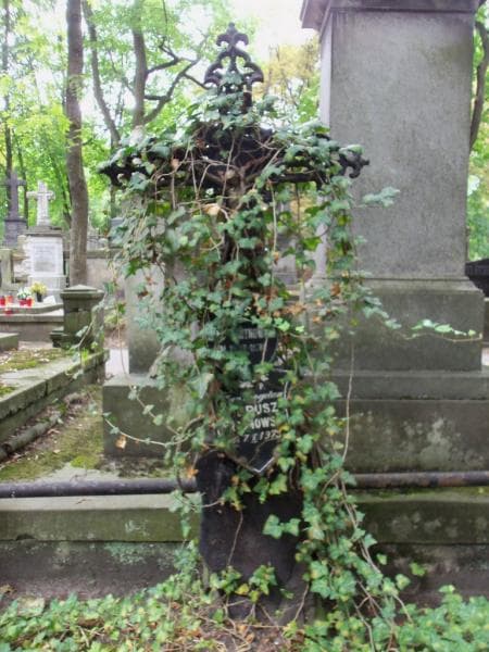 Zdjęcie grobu Anna Wrotnowska (2)