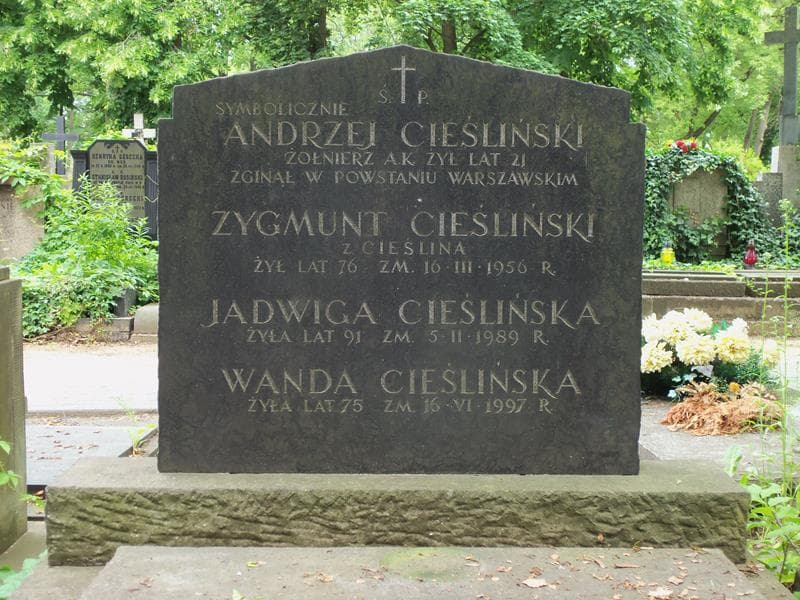 Zdjęcie grobu Wanda Cieślińska (2)