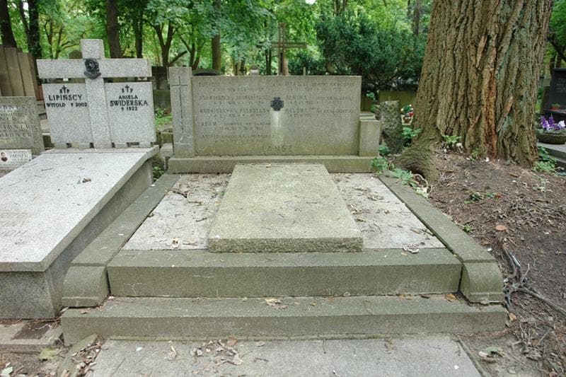 Zdjęcie grobu Janina Lange (1)