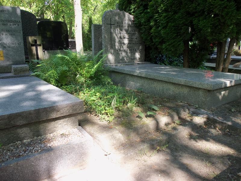 Zdjęcie grobu Agnieszka Tomaszewska (1)