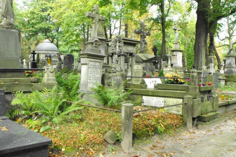 Zdjęcie grobu Józef Stiche (1)