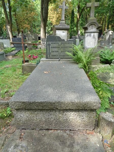 Zdjęcie grobu Henryk Brzeziński (1)