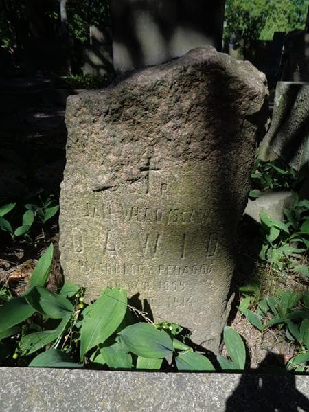 Zdjęcie grobu Jan Władysław Dawid (2)