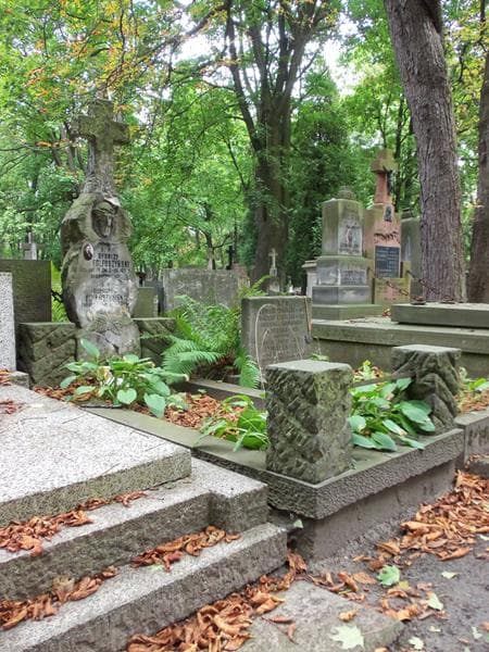 Zdjęcie grobu Romuald Folfoszyński (1)