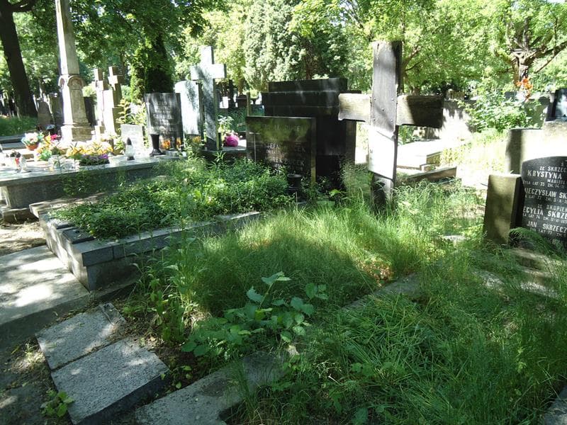 Zdjęcie grobu Filipina Milewska (1)