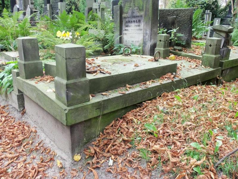 Zdjęcie grobu Domagalscy (1)