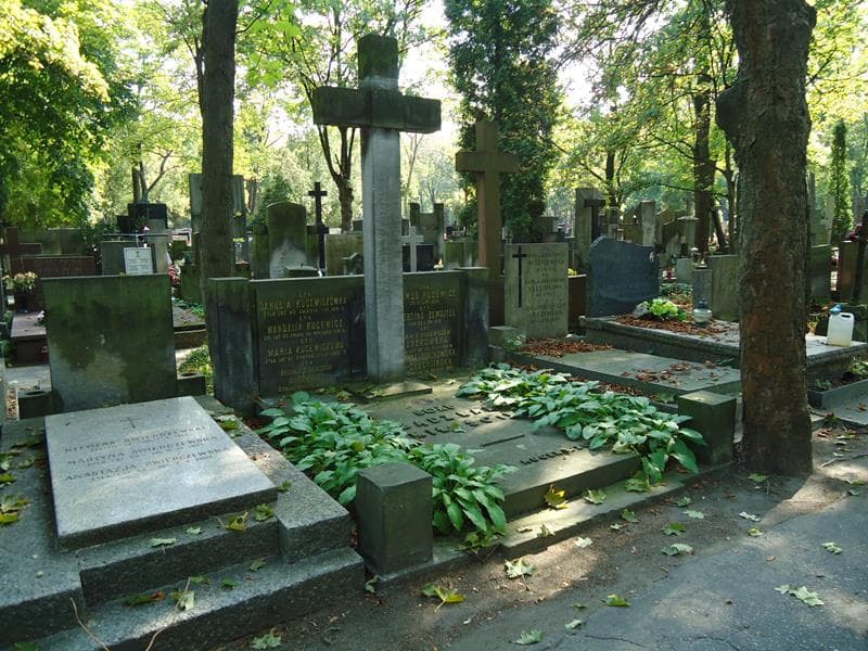 Zdjęcie grobu Maria Gorzkowska (1)