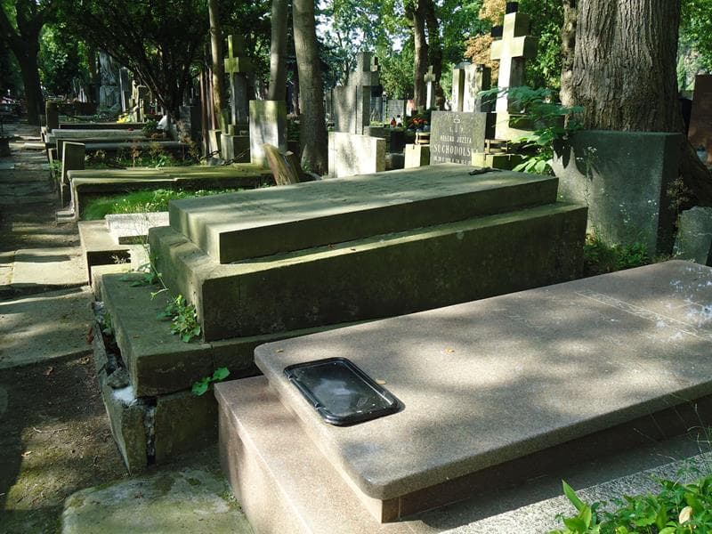 Zdjęcie grobu Bolesław Wróblewski (1)