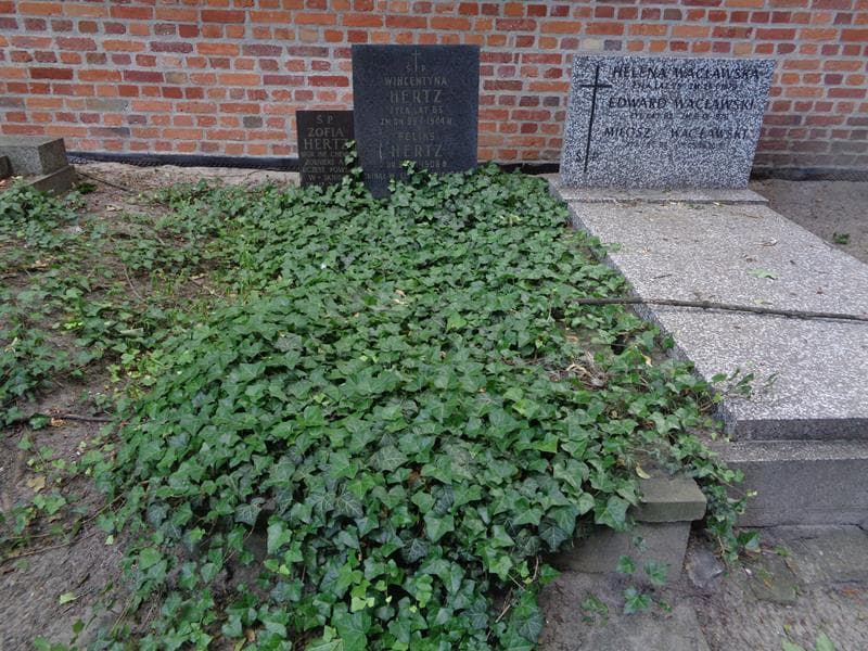 Zdjęcie grobu Wincentyna Hertz (1)