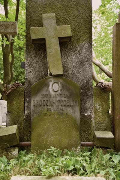 Zdjęcie grobu Stanisław Michał Brodzic - Modelski (2)