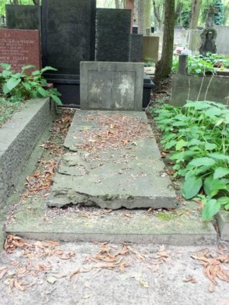 Zdjęcie grobu: Konstanty Danielewicz