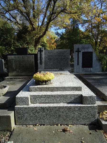 Zdjęcie grobu: Bronisława Czarnecka