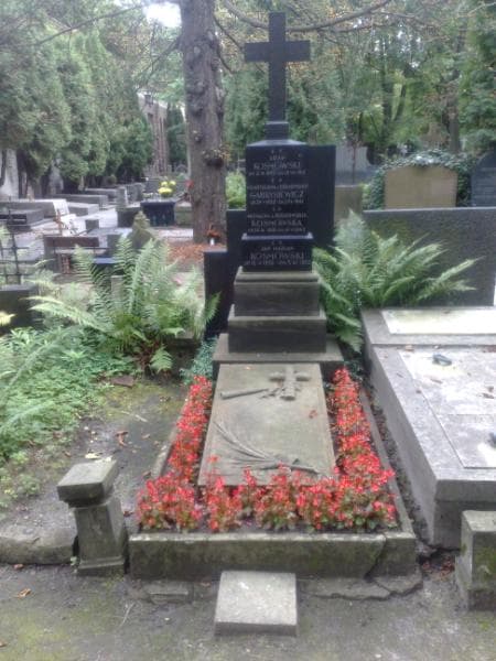 Zdjęcie grobu: Władysława Gabrysiewicz
