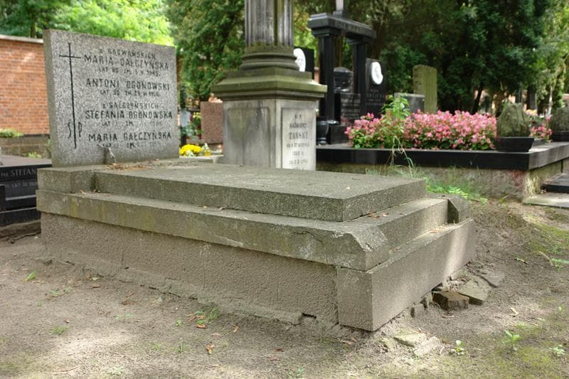 Zdjęcie grobu Antoni Ogonowski (1)