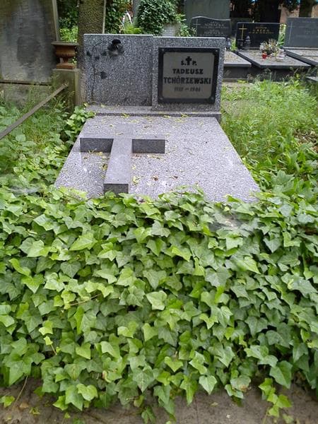 Zdjęcie grobu Tadeusz Tchórzewski (1)