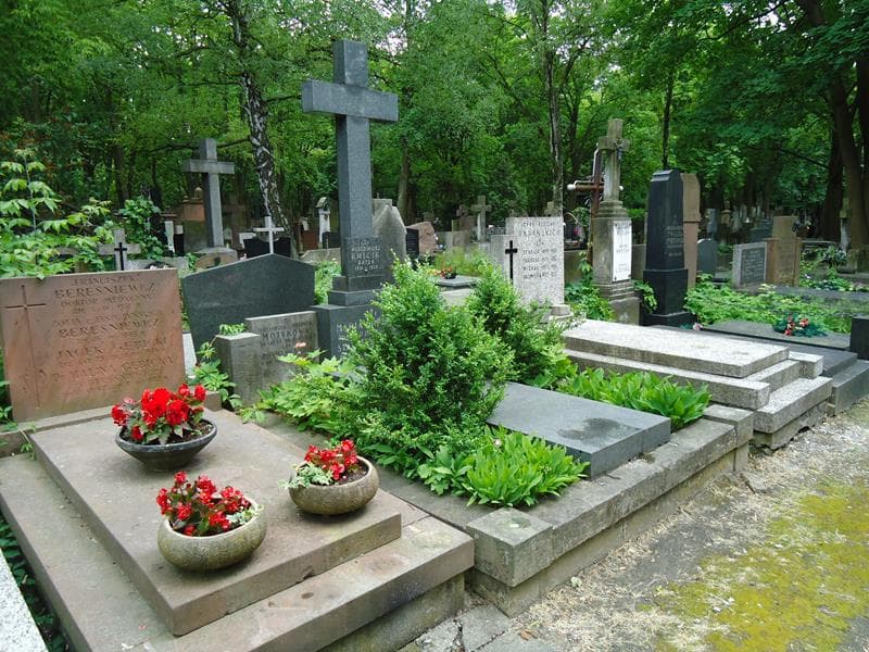 Zdjęcie grobu Włodzimierz Kmicik (1)
