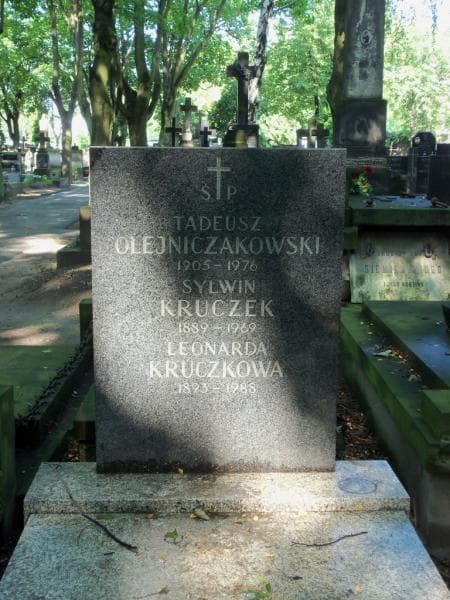 Zdjęcie grobu Tadeusz Olejniczakowski (2)