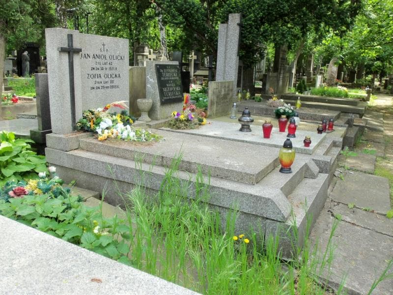 Zdjęcie grobu Jan Anioł Olicki (1)