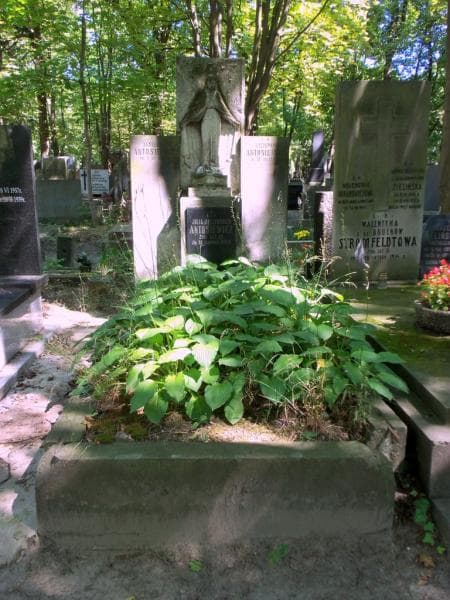 Zdjęcie grobu Szczepan Antosiewicz (1)