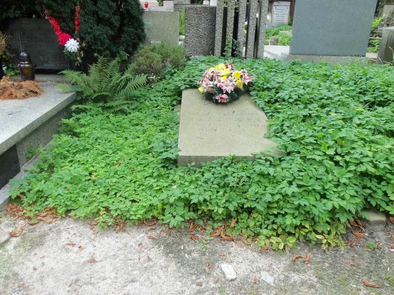 Zdjęcie grobu: Natalja Majewska