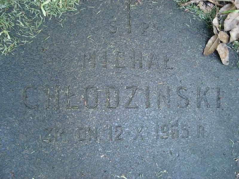 Zdjęcie grobu Michał Chłodziński (1)