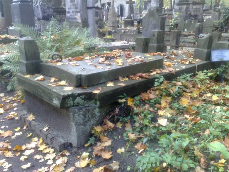 Zdjęcie grobu Heniszowie (1)