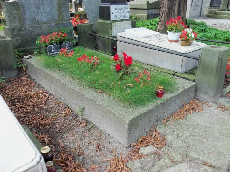 Zdjęcie grobu Ignacy Szewczykowski (1)