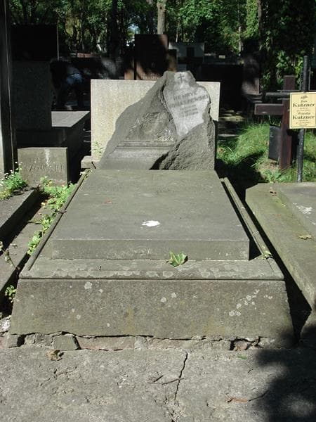Zdjęcie grobu: Stanisław Tomaszewski