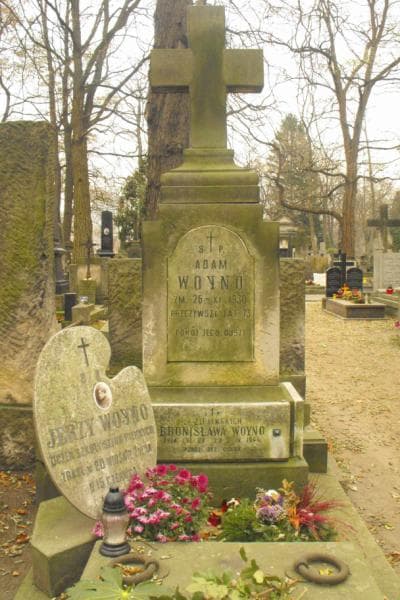 Zdjęcie grobu Stanisław Woyno (2)