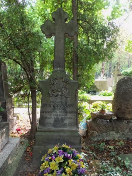 Zdjęcie grobu Zygmunt Stronczyński (1)