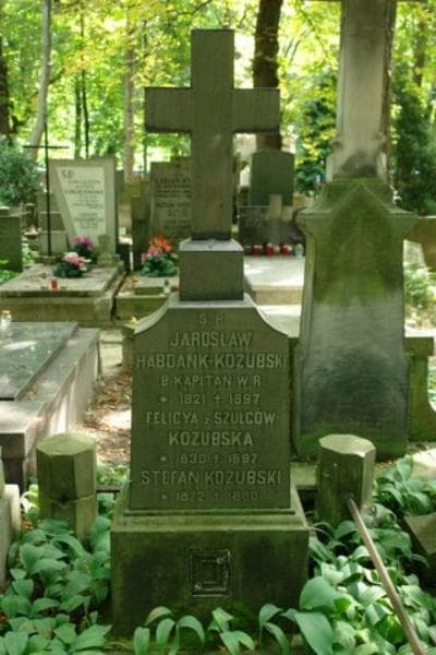Zdjęcie grobu Jarosław Habdank-Kozubski (2)