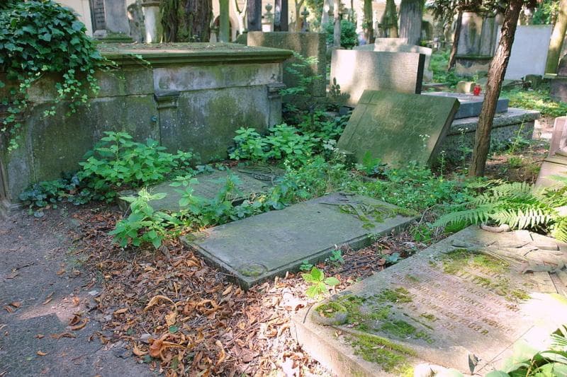 Zdjęcie grobu: Julianna Kluczyńska