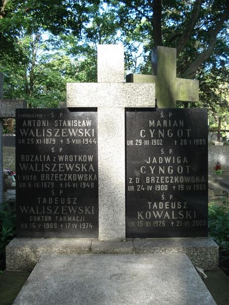 Zdjęcie grobu Tadeusz Waliszewski (2)