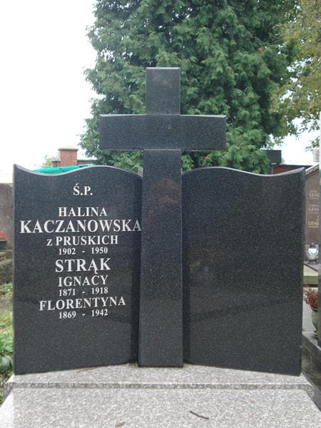 Zdjęcie grobu Ignacy Strąk (2)